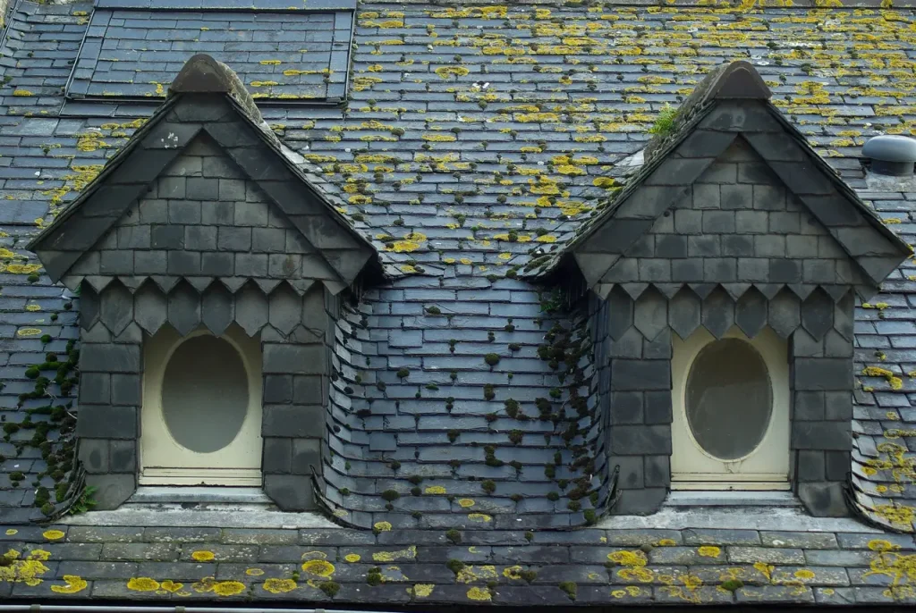 Slate Roofing